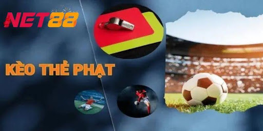 Khám Phá Thế Giới Giải Trí Đỉnh Cao Tại Mua Đất Hòa Phước Đà Nẵng Nơi Mọi Giấc Mơ Thành Hiện Thực